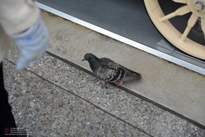 20180108101258_NIKON D7100.jpg